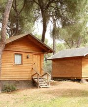 Cabanas_madera_Camping_Dehesa_Nueva_Aznalcazar.jpg