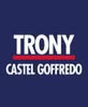 Trony Castel Goffredo immagine 1