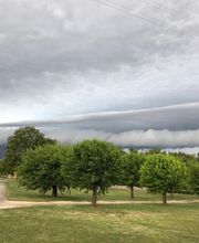 Citeau Christophe image 10