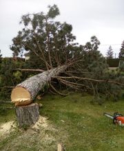 GC Jardins Gilles Chazal image 5