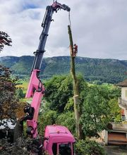 Cano Transports Sàrl Bild 2