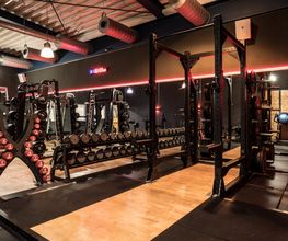Fitness First Pforzheim - Squat Racks