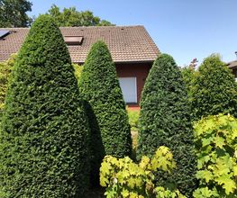 Gartenpflege Anita Stapper Bild 3