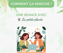 La Petite Plante image 6