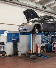 Gallery Professionale