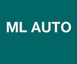 ML AUTO image 1