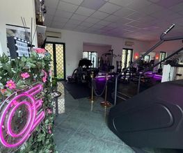 Gallery Cliente
