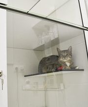 161072673-1-EHv6ySyByC1614709153183.jpeg