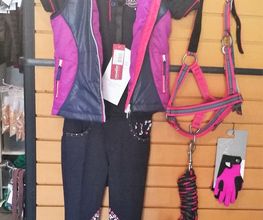 Zeisse Lädche', Reitsport Bild 6