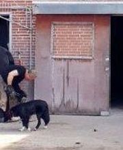 Inge Denker Bild 8