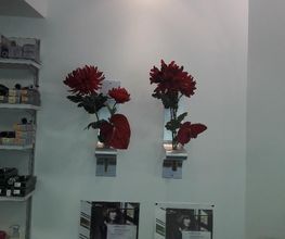 AZ Coiffure image 6