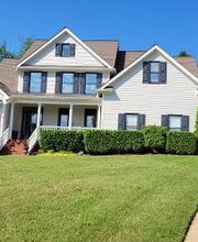 Hazelwood Painting image 4