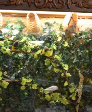 Sevierville Health and Rehabilitation Center image 6