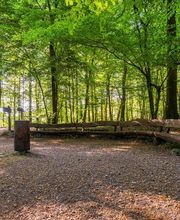 FriedWald Kalletal Bild 7