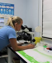 Tierarztpraxis Hinter den Höfen Bild 1