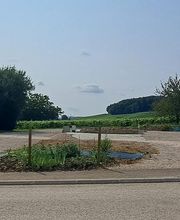 Champagne Petit-Triolet image 3