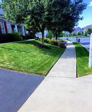 Shepherds View Landscaping & Tree Removal, LLC image 13