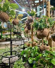 HORNBACH Gartencenter Leipzig - Alte Messe Bild 7