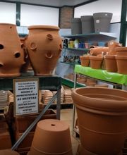 Viveiros Adoa, S.L. (Tameiga) imagen 17