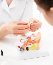 Metro Hearing image 5