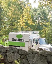SavATree - Tree Service image 8