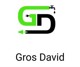 Gros David image 1