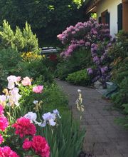 Adrian Kübler Gartengestaltung Bild 3