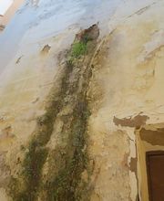 Sebastián Jiménez Aguilar imagen 11