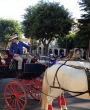 Picadero Escuela Las Cruces imagen 9