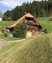 Waldrand Beizli Bild 11