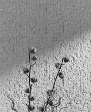 Decktec Wanddekor Bild 14