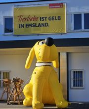 DAS FUTTERHAUS - Meppen Bild 1