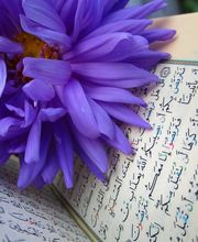 ABC Translation Bild 14