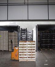 entrada-productos-03.jpg