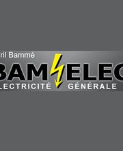 Bamelec image 2