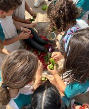 Naturdiver Excursiones S.L. imagen 10