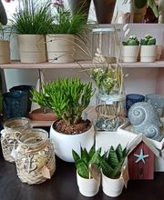 P S Blumen Inh. Petra Schleßelmann Bild 4