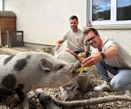 Alfred and Friends Bild 1
