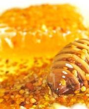 Abeille De Ré image 13