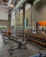 Basic-Fit 24/7 image 2