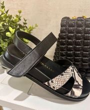 Carlotashoes imagen 1