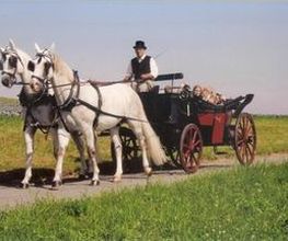 Köchli Heinrich Bild 5