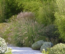 Jardins Intemporels image 11