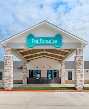Pet Paradise Kyle image 13