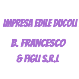 Impresa Edile Ducoli B. Francesco & Figli logo