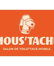 MOUSTACHE Toilettage image 7