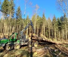 Passion Forêt SA Bild 6