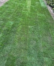 Haus-&Gartenservice Rose Bild 16