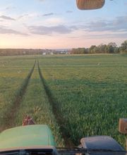 Hof Belvedere Bild 18