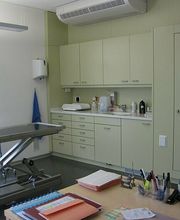 Kleintierpraxis Rüedi AG Bild 3